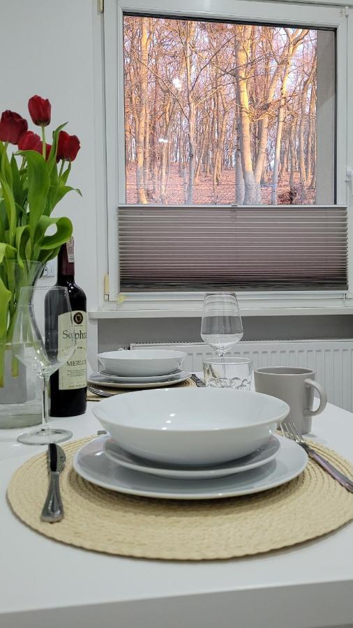 Apartament Sea&Forest 米兹多洛杰 外观 照片